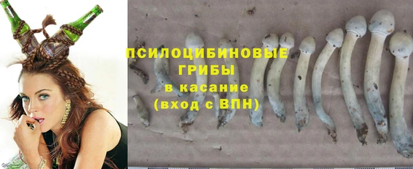 COCAINE Богородицк