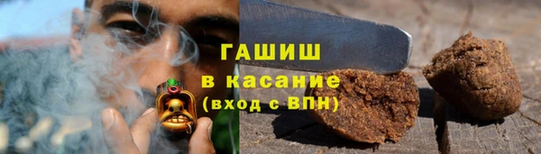 ECSTASY Богданович
