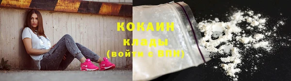 ECSTASY Богданович