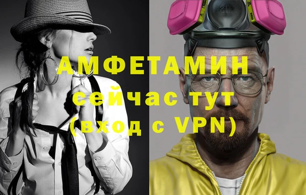 ECSTASY Богданович