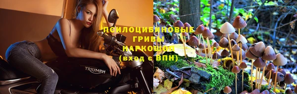 a pvp Саяногорск
