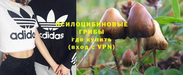 apvp Сатка