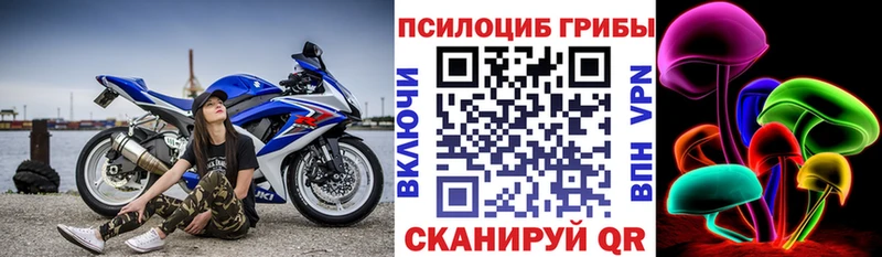 Галлюциногенные грибы Psilocybe  хочу   Красновишерск 